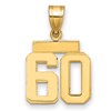 14k Small Polished Number 60 Charm