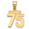 14k Small Polished Number 75 Charm