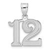 14kw Polished Etched Number 12 Pendant