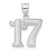 14kw Polished Etched Number 17 Pendant