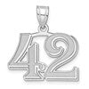 14kw Polished Etched Number 42 Pendant