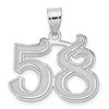 14kw Polished Etched Number 58 Pendant