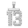 14kw Large Brushed Diamond-cut Number 13 Charm