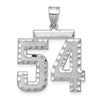 14kw Large Brushed Diamond-cut Number 54 Charm