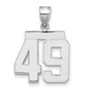 14kw Medium Polished Number 49 Charm