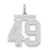 14kw Medium Satin Number 49 Charm
