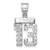 14kw Small Brushed Diamond-cut Number 13 Charm