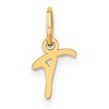 14KY Upper case Letter T Initial Charm