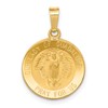 14k Polished and Satin Hollow Our Lady of Guadalupe Medal Round Pendant