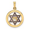 14k Polished Blue Enameled Solid Star of David in Circle Pendant