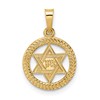 14k Polished and Textured Solid Star of David in Round Frame Pendant