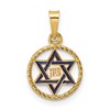 14k Polished Solid Blue Enameled Star of David in Circle Frame Pendant