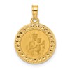 14k Polished and Satin Hollow Our Lady of Mt. Carmel Medal Round Pendant