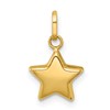 14k Polished 3-D Puffed Star Charm Pendant