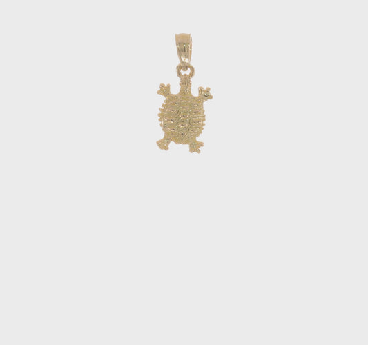 14K Gold Mini Land Turtle Charm